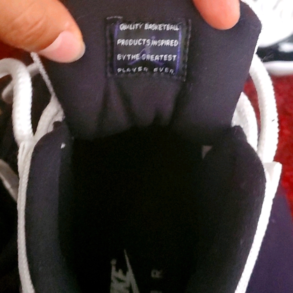 Jordan air 11 retro concord (gs)